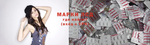 гашик Алексеевка