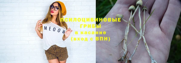 СК Алзамай