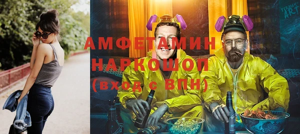 гашик Алексеевка