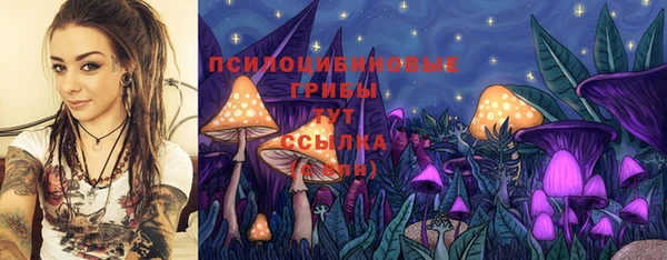 гашик Алексеевка