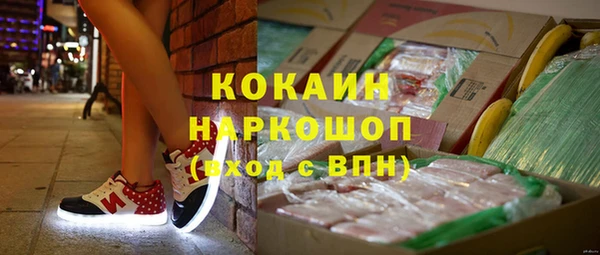 гашик Алексеевка