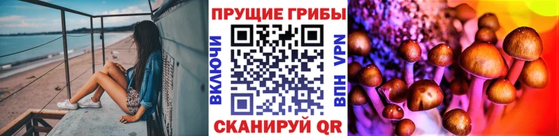 hydra tor  Камышин  Псилоцибиновые грибы мухоморы 
